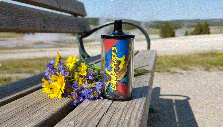 Switching or Quitting in 2026