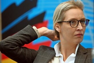 alice-weidel-ohr prothese