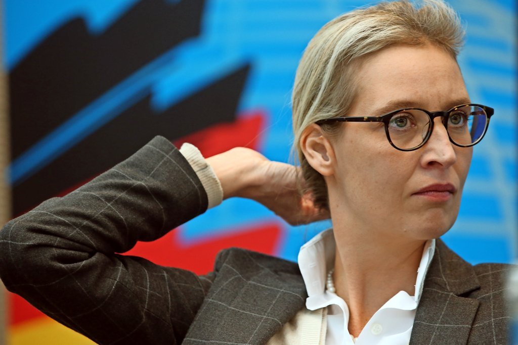 alice-weidel-ohr prothese